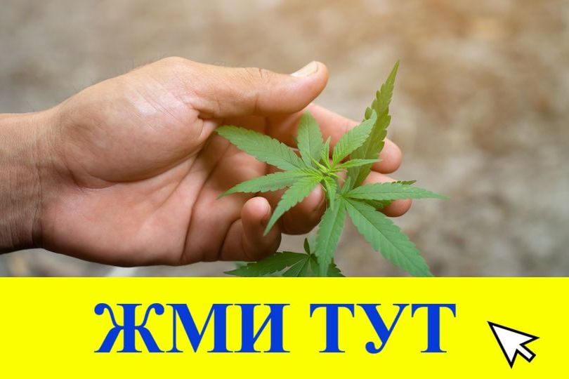 Купить наркотики в Тимашёвске